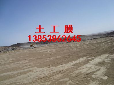 �������Ĥ++����ͺ�����Ĥ�������ַ��B