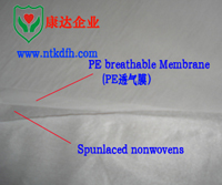 ᘴ̏�(f��)�ϟo����