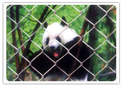 �����W(w��ng)