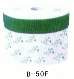 Һ�����^�Vо�� �Vо��B-50F