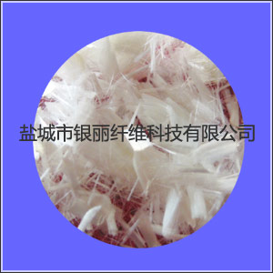 �����w�S