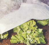 PP��ճ�o����