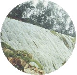 �G���o����