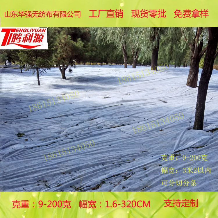 ��ճ�o����������