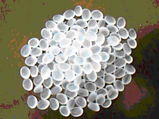 �h(hu��n)�����z���gĸ��