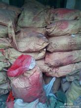 �߃r(ji��)��ُ�U�fȾ�ϼ����