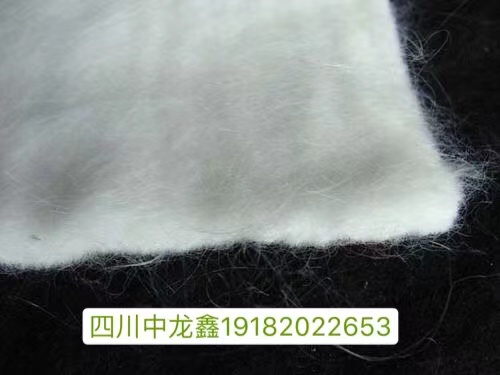 �L�z������