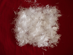 �����w�S